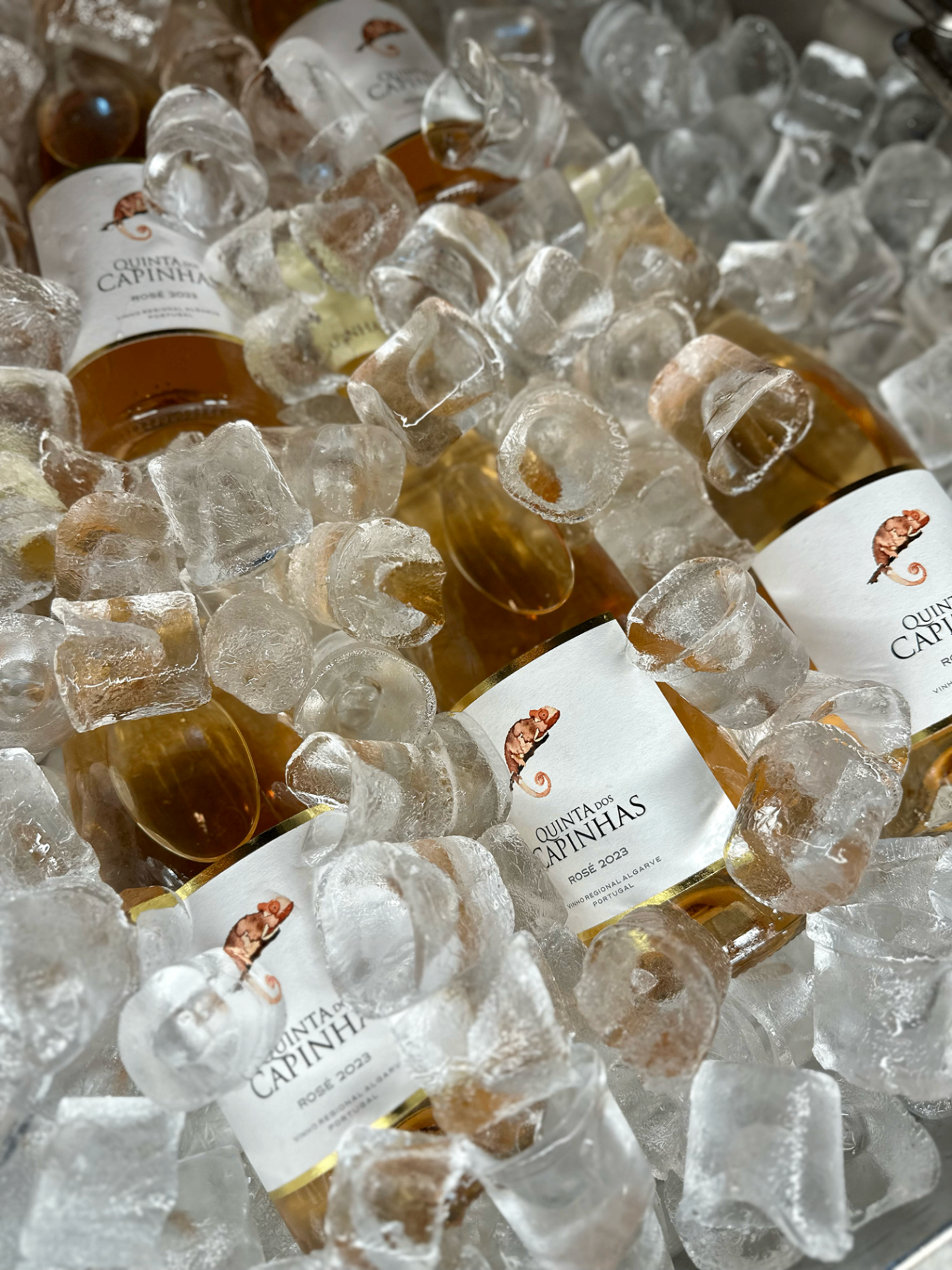 Vinho rosé com gelo